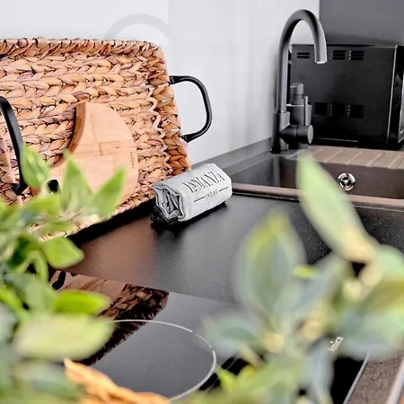 Elkowy Zakatek Odkryj