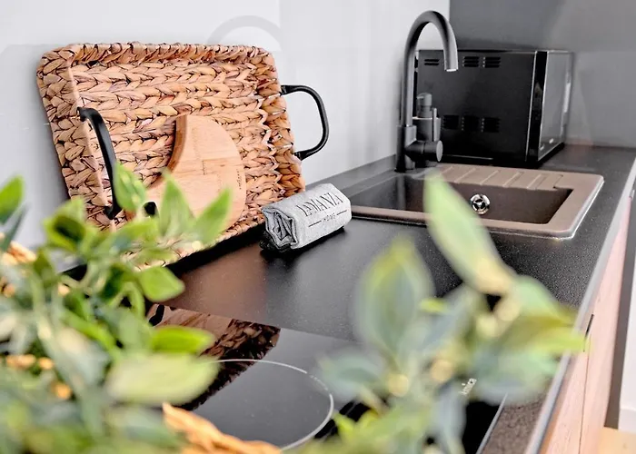 Elkowy Zakatek, Odkryj-zakopane